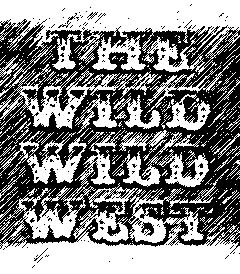 Wild Wild West zines